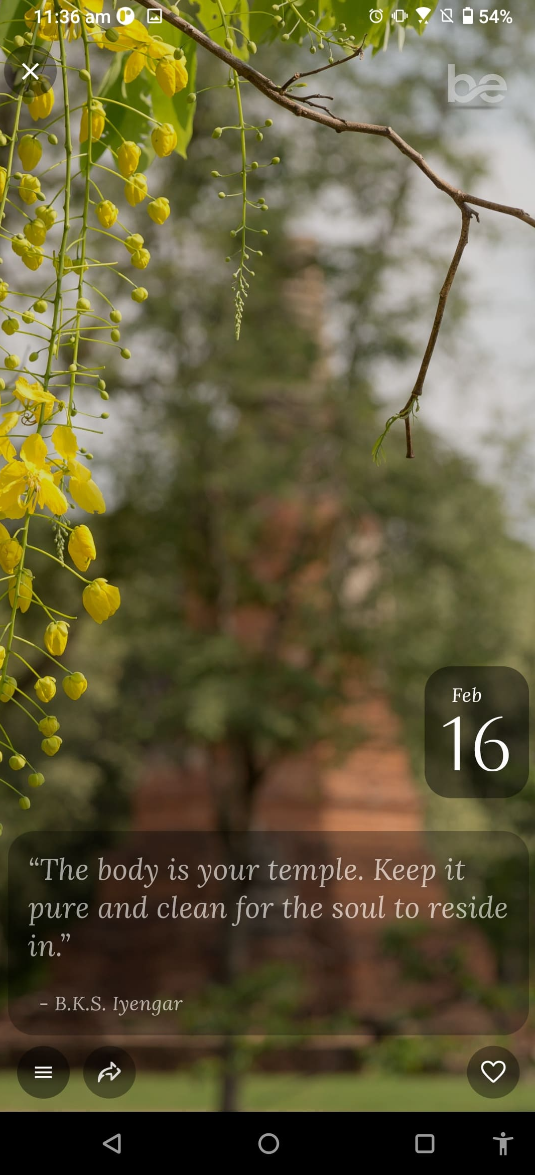 The Beyond Lifestyle App